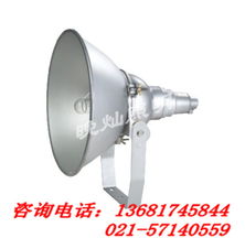 上海晚燦照明燈具廠專業(yè)投射燈產品列表
